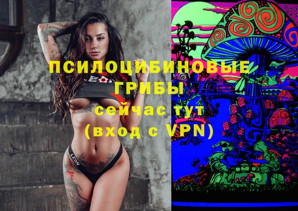mdpv Дмитриев