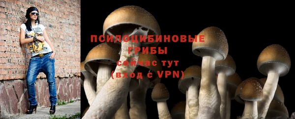 мдма Дмитровск